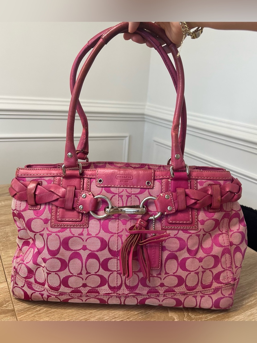 COACH Signature Carryall Tote